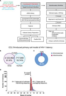 Detection of Chimeric Cellular: HIV mRNAs Generated Through Aberrant Splicing in HIV-1 Latently Infected Resting CD4+ T Cells